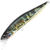 Воблер DUO Realis Jerkbait 100SP (14,5г) CDAZ612