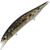 Воблер DUO Realis Jerkbait 120SP (18 г) CCCZ103