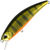 Воблер DUO Spearhead Ryuki 50F (2,8г) ASA3146