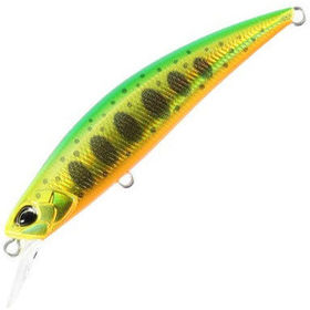 Воблер DUO Spearhead Ryuki 70S (9,0г) ANA4108