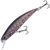 Воблер DUO Spearhead Ryuki 70S (9,0г) CCCZ219