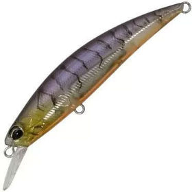 Воблер DUO Spearhead Ryuki 70S SW (9,0г) CCC3562