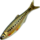 Cиликоновая рыбка Izumi Umami 60 (2.8) 11 (упаковка - 7шт.)