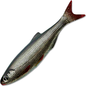 Cиликоновая рыбка Izumi Umami 60 (2.8) 8 (упаковка - 7шт.)