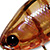 Воблер Jackall Diving Chubby 38 (4,3 г) brown suji shrimp