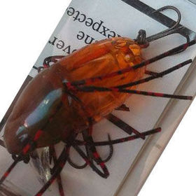 Воблер Jackall Chubby Bug 35 (3.7г) ul kanabun