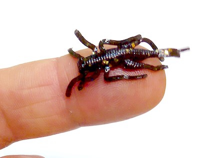 Силиконовая приманка LBaits L. NYMPH
