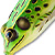 Мягкая приманка LiveTarget Frog Hollow Body 512 Floro Green/Yellow