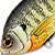 Воблер LiveTarget Sunfish Flat Side Crankbait BG 100 Natural/Matte