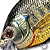 Воблер LiveTarget Sunfish Flat Side Squarebill BG 102 Metallic/Gloss