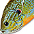 Воблер LiveTarget Sunfish Hollow Body 551 Natural/Blue Pumpkinseed