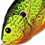 Воблер LiveTarget Sunfish Hollow Body 552 Florescent Pumpkinseed