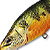 Воблер LiveTarget Yellow Perch Crankbait Deep 100 Natural/Matte