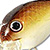 Воблер Lucky Craft Bevy Crank 45DR Bronze Pearl Shad 825