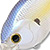 Воблер Lucky Craft LC 2.5XD 250 CHARTREUSE SHAD