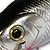 Воблер Lucky Craft Magnum Cra-Pea SR (6,2г) 0596 Bait Fish Silver 301
