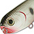 Воблер Lucky Craft Sammy 65 101 Bloody Or Tennessee Shad