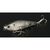 Воблер Lucky Craft Bevy Pencil, Ghost Tennessee Shad