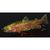 Воблер Lucky Craft Real California 110SPM, Ghost Rainbow Trout