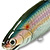 Воблер Lucky Craft Pointer 125DD 3 Jointed Jerk 270 MS AMERICAN SHAD