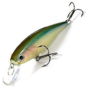 LUCKY CRAFT Pointer 100-149 Baby Blue Gill