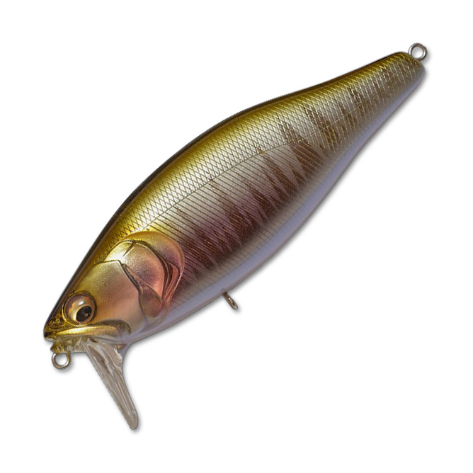 Megabass wagin hasu Megabass wagin hasu