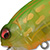 Воблер Megabass Noisy Cat Flipper (17.8г) crystal lime frog