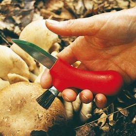 Нож грибника Morakniv Karl-Johan Mushroom