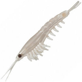 Приманка Nikko Okiami Shrimp L (5.8см) Pearl White (упаковка - 5шт)