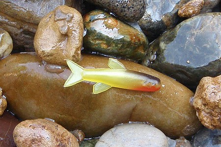 Мягкая приманка Orka Small Fish 1100-R-3 YB