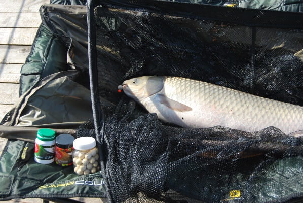 QB Бойли тонущие 15mm, 450g Magnum White QS15MW3