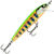 Воблер Rapala Floater Elite 85F (6.5г) GDCY