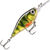 Воблер Rapala X-Light Shad 04 (4г) PEL