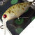 Воблер Rodio Craft Moca 2-Hook SR Rattle SS 2,3гр 35 glow