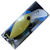 Воблер Rodio Craft Moca DR Rattle 30SS (2.4г) 31