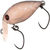 Воблер Rodio Craft Mocca Fat Jr. SR 24SS (1.6г) 37 glow