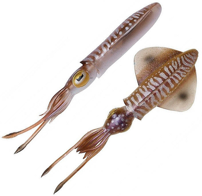 Приманка Savage Gear 3D Swim Squid (9.5 см) Cuttlefish