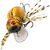 Воблер Stinger Namida 40F (6г) 20 (Stonefly)