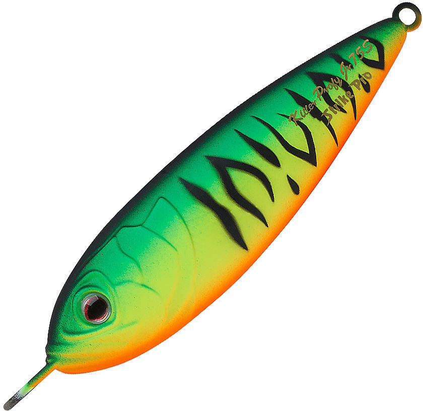 Орыс порно талапкер үй видео