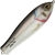 Блесна Strike Pro Salmon Profy 115, #C501F