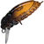 Воблер Strike Pro Beetle Buster 40, цв.GC08G