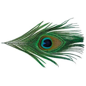 Перья Superfly Peacock Eyes-Green-2/pkg PCED-01