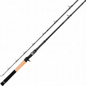 Кастинговое удилище Tailwalk Namazon Mobilly C674MH (2.01м; 5-56г)