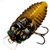 Воблер Tiemco Cicada Wake 45F (4г) CW-062