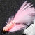 Муха Vanfook Leech LC-11BL pink/white (1.2г)