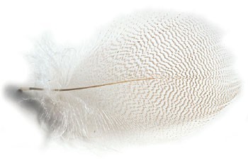 Маховые перья утки Veniard Duck Quills bleached White White