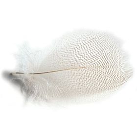 Маховые перья утки Veniard Duck Quills bleached White White