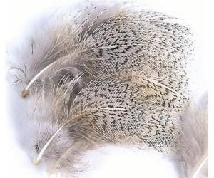 Перья куропатки Veniard Partridge English grey neck grey hackle 1 gram natural Natural