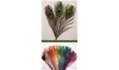 Перья павлина Veniard Peacock eye top dyed Green