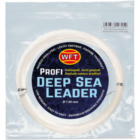 Леска WFT KG Deep Sea Leader Clear 50м 1мм